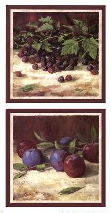 Framed Blackberry Plum Combo Print