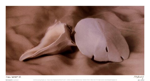 Framed Shell Sonnet lll Print