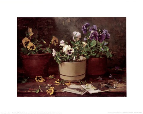 Framed Pansies in Terra Cotta Print
