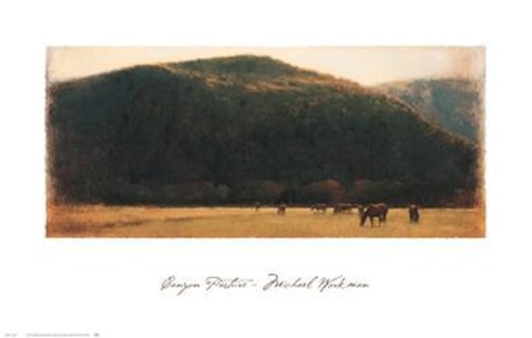 Framed Canyon Pasture Print