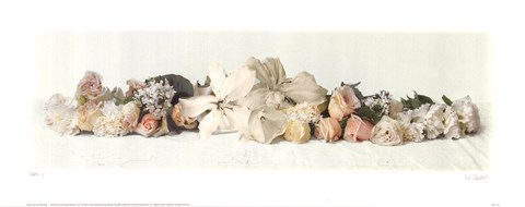 Framed Spray ll Print