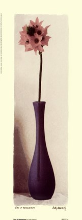 Framed Star Of Bethlehem Print