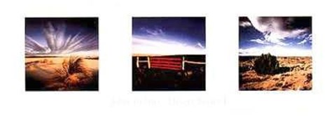 Framed Desert Series I Print