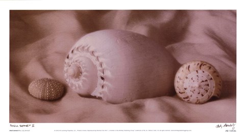 Framed Shell Sonnet II Print