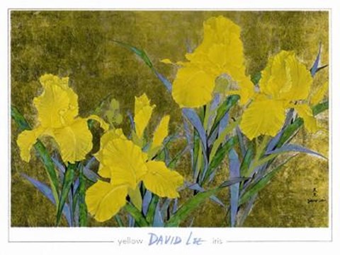 Framed Yellow Iris Print