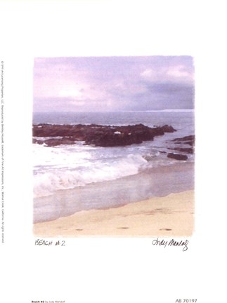 Framed Beach #2 Print