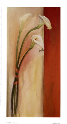 Framed Calla Tres Print