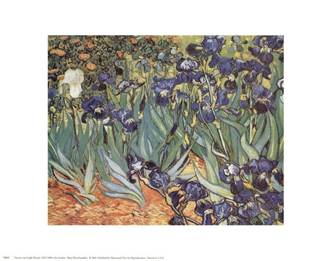Framed Iris Garden Print