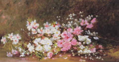 Framed Still Life With Apple Blossoms Print