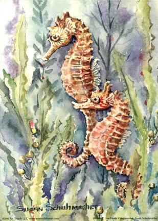 Framed Sea Horse Companions Print