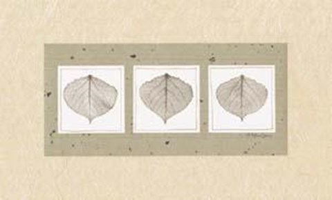 Framed Aspen Leaves Print