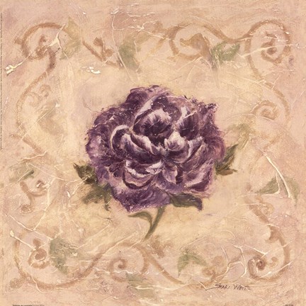 Framed Paeonia De Lavendre Print