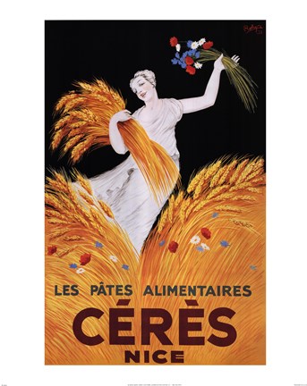 Framed Ceresnice Print