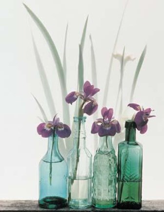 Framed Bottled Floral Print