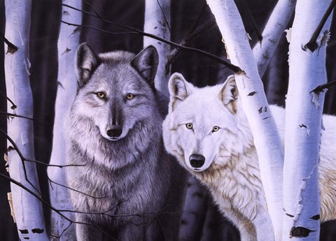 Framed Silent Sentinals Print