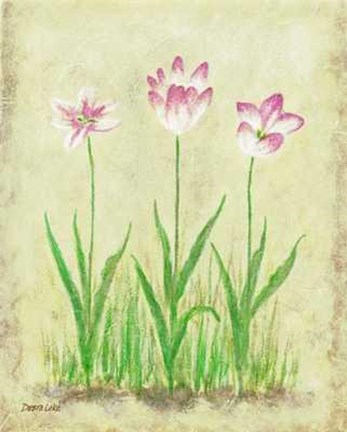 Framed Rosy Tulips 1 Print