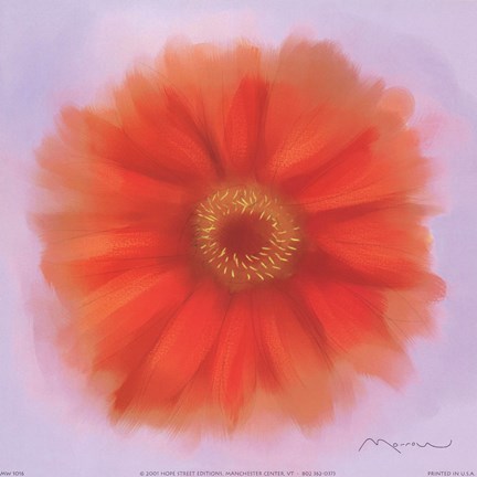 Framed Red Dahlia Print