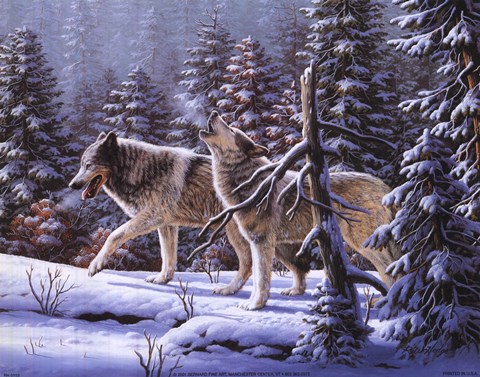 Framed Two Wolves Print