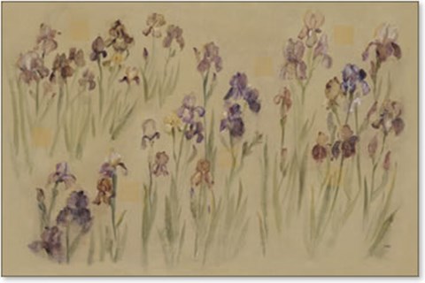 Framed Field of Iris Print