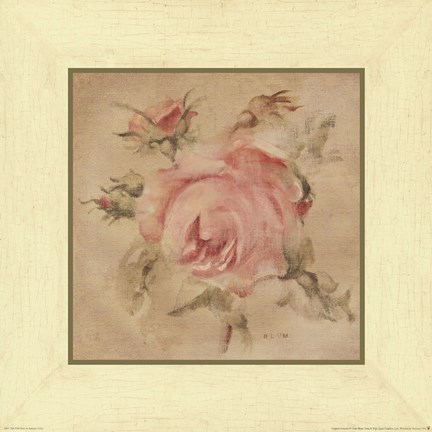 Framed Pale Pink Rose Print