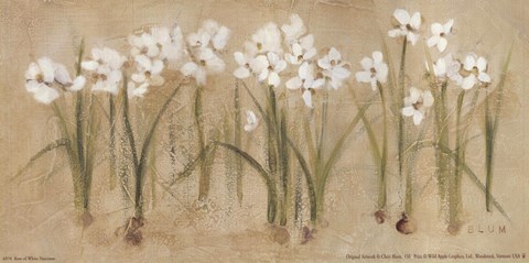 Framed Row of Narcissus Print