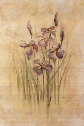 Framed Purple Dream Irises Print