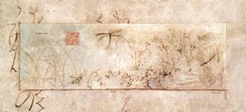 Framed Asian Dragonflies Print