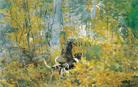 Framed On The Trail Print