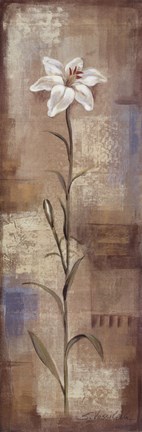 Framed Spring Grace I Print