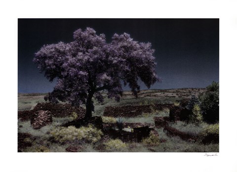 Framed Wisteria Tree Print