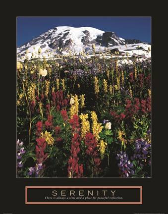 Framed Serenity - Mt. Rainier Print