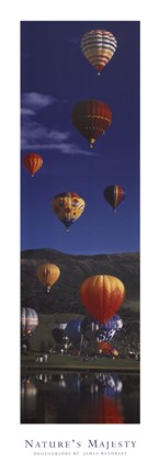 Framed Balloons - Nature&#39;s Majesty Print