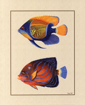 Framed Tropical Fish III Print