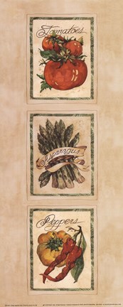 Framed Vintage Vegetable Assorted Print