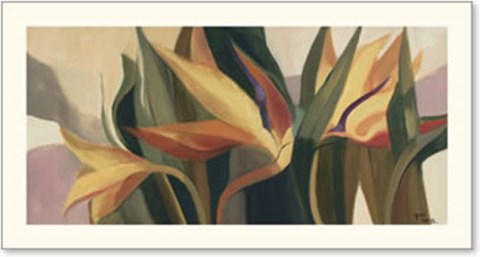 Framed Fara's Bird of Paradise Print