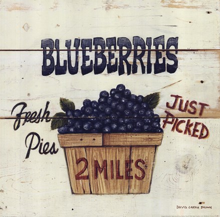 Framed Blueberries Just Picked Print