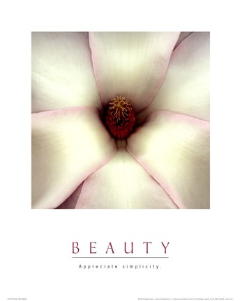 Framed Beauty - White Magnolia Print