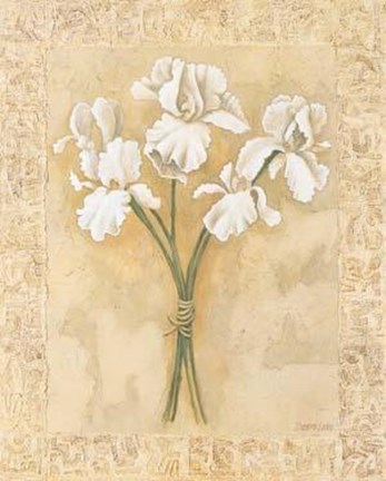 Framed White Bearded Irises Print