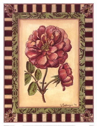 Framed Renaissance Rose I Print