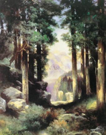 Framed Grand Canyon Of The Colorado Print