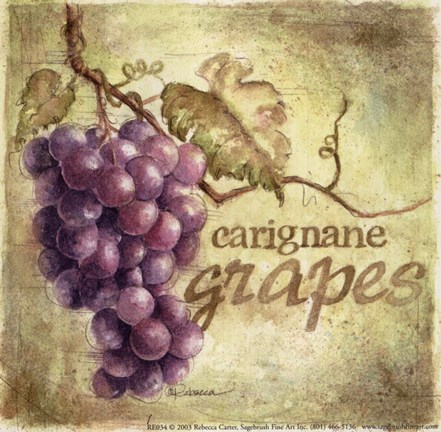 Framed Carignane Print
