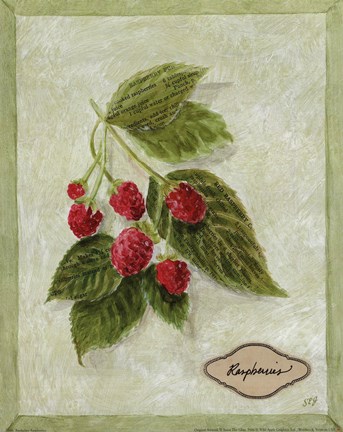 Framed Bookplate Raspberries Print