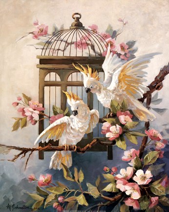 Framed Cockatoo And Blossoms Print
