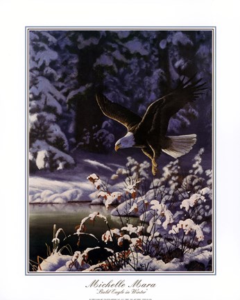 Framed Eagle In Flight Print