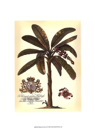 Framed Palm and Crest II Print