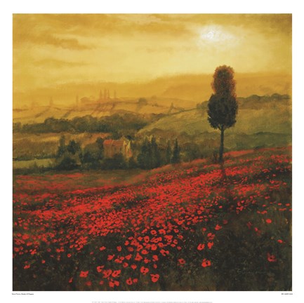 Framed Shades Of Poppies Print