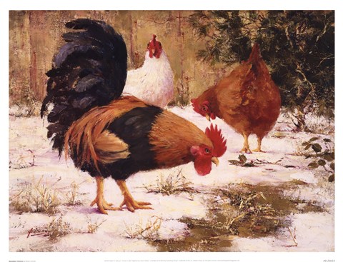 Framed December Chickens Print