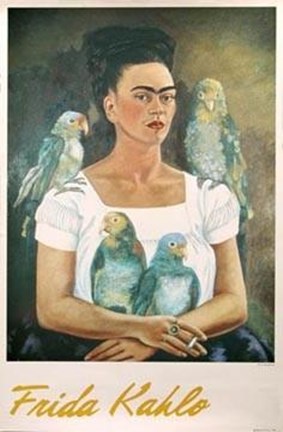 Framed Yo Y Mis Pericos Print