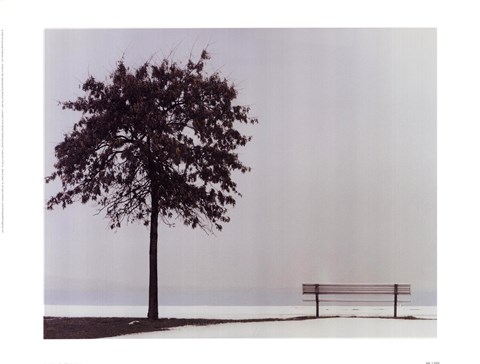 Framed Bench: Oyster Bay, NY Print