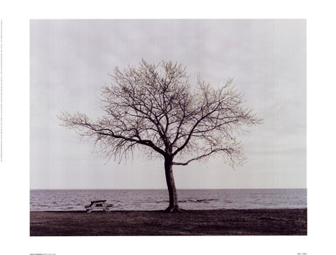 Framed Bench: Bridgeport, CT Print